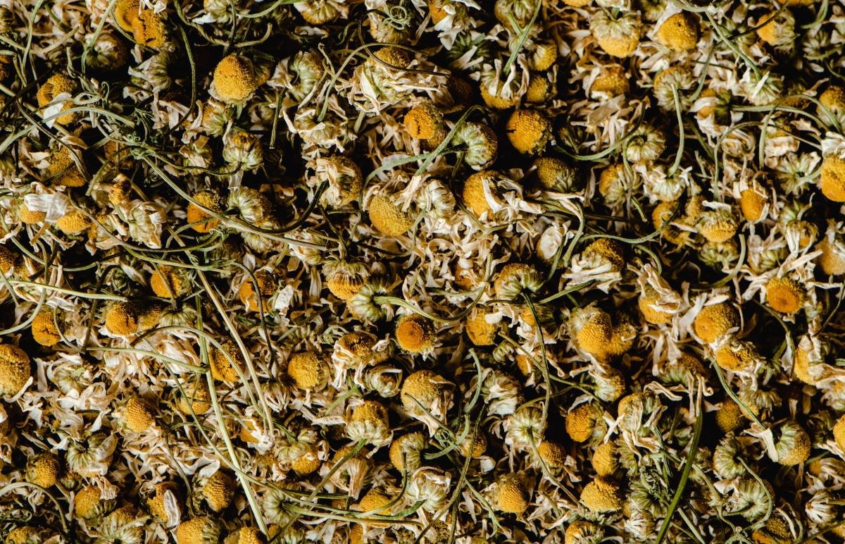 Himraga Chamomile Brew Sachets