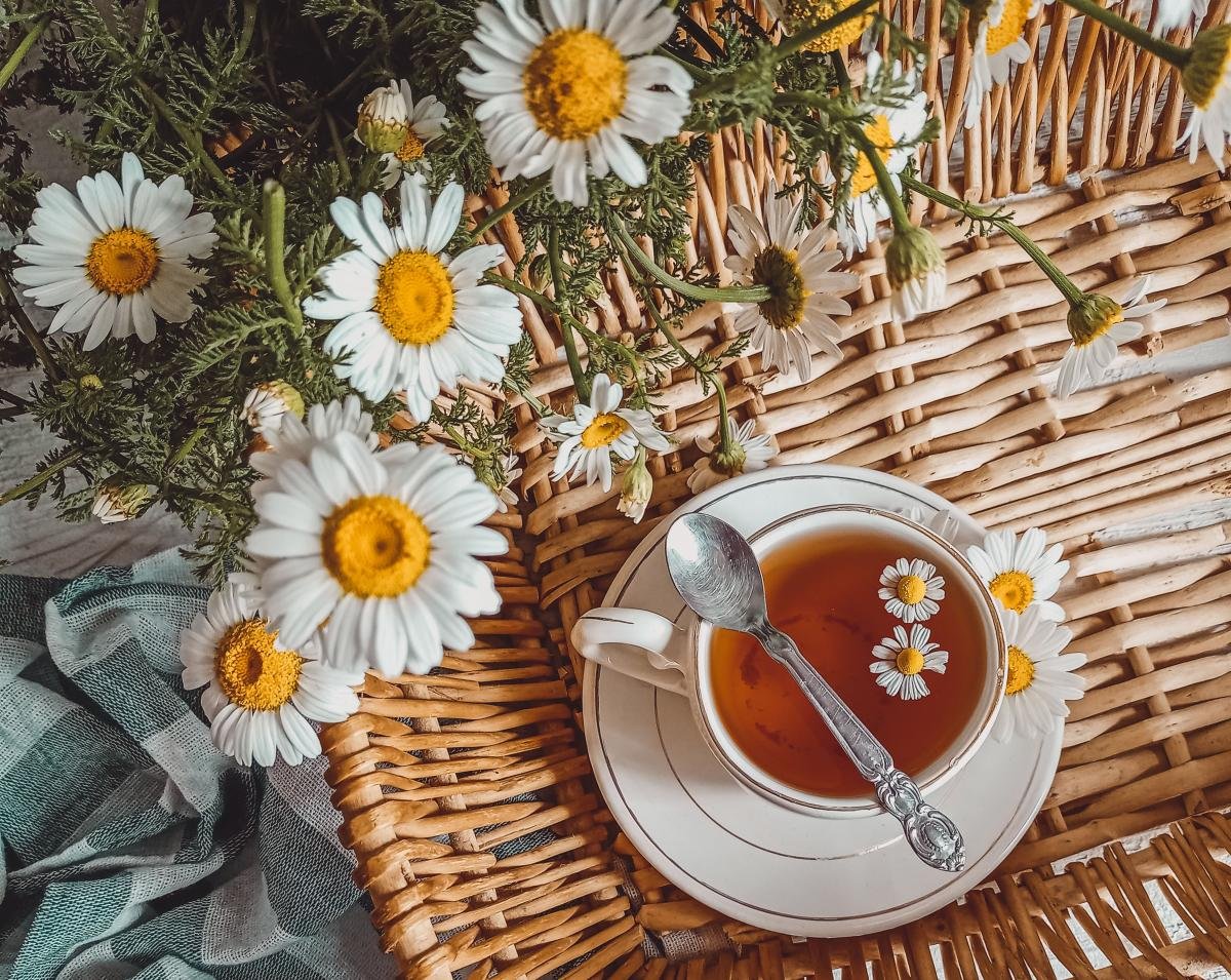 Chamomile Tea Benefits: A Gentle Herb for Calm, Sleep and Daily Wellness