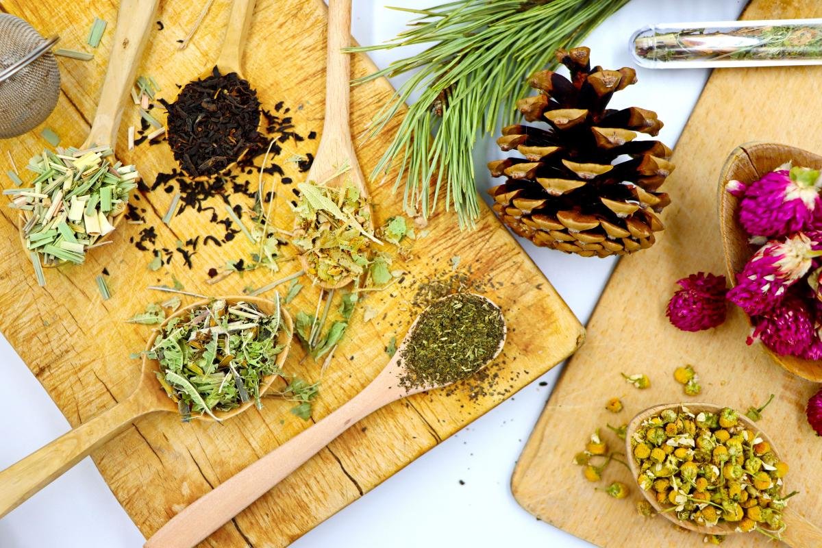 Herbal Infusions: A Natural Way to Support Daily Wellness